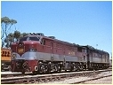937,701,South Monarto