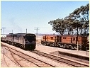 931,701,831,837,South Monarto