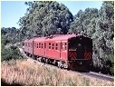 Redhen,Mount Lofty