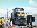 T408,South Dynon