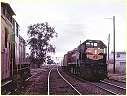 X32,Y117,North Bendigo