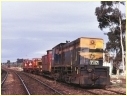 Y117,North Bendigo
