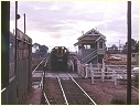 Y117,Y153,North Bendigo