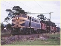 L1170,Tynong