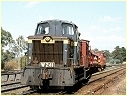 W241,Broadford