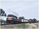 C507,S304,Horsham