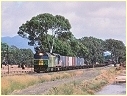 BL34,C501,Middle Creek