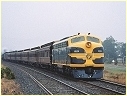 B74,R707,Clarkfield