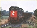 T379,H1,Monomeith