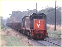 T379,PH1,Nyora