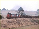 T379,H1,Bena