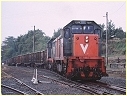 T379,H1,Korumburra