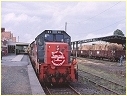 T379,H1,Korumburra