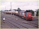 T379,H1,Korumburra