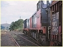 H1,Korumburra