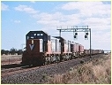 T371,T408,Corio