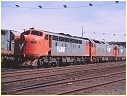 S310,South Dynon