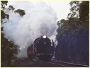 R707,Lal Lal