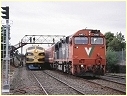 B74,N457,Ballarat East