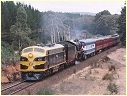 R707,B74,Creswick