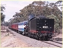 R707,Clunes