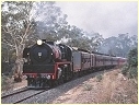 R707,Elmhurst