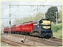 T364,Kensington