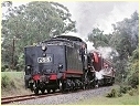 J515,Ruby