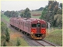 Red Hen,Leongatha