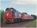 P19,Frankston