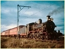 D3 639, Lalor