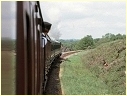 488,Sheffield Park,Horsted Keynes,England