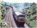 45036,Totnes,England