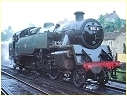 80135,Pickering,England