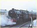 4767,Pickering,England