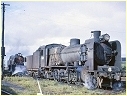 N489,J530,North Geelong