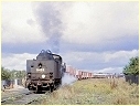 Y105,N489,Fyansford