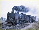 N481,R756,Maryborough