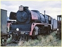 R738,Newport