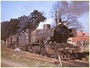 N430,N432,Ballarat East