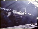 R719,Ballarat East