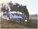 R719,N460,Warrenheip