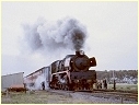 R735,Wingeel