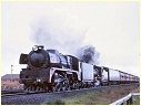 R749,D3 639,Broadmeadows