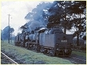 N482,N453,Ballarat