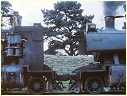 N482,N453,Ballarat