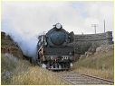 R737,Lethbridge