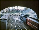 N428,Ballarat