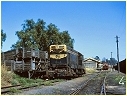 T335,Yea