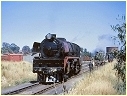 R706,Yea